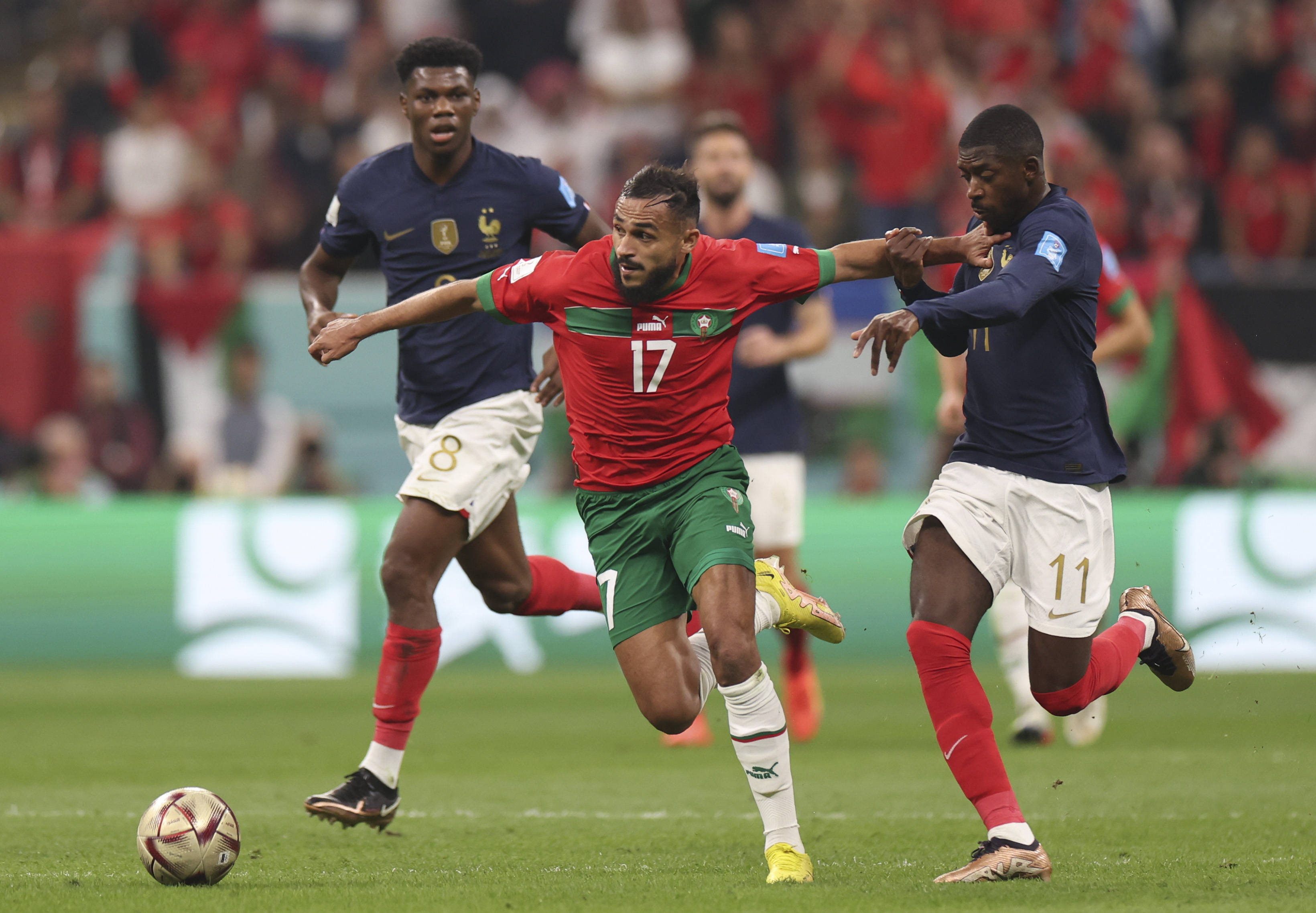 球队规划的 球队规划的