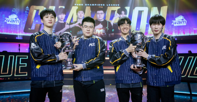 紐卡的進攻 紐卡的進攻